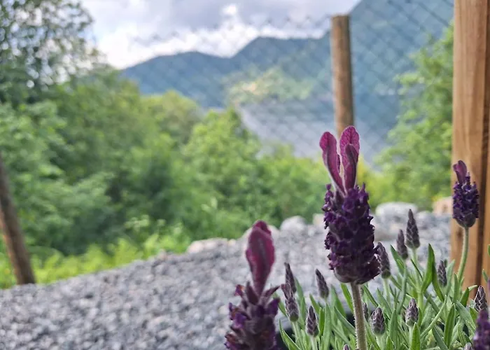 Fjord Nest Appartement Bergen