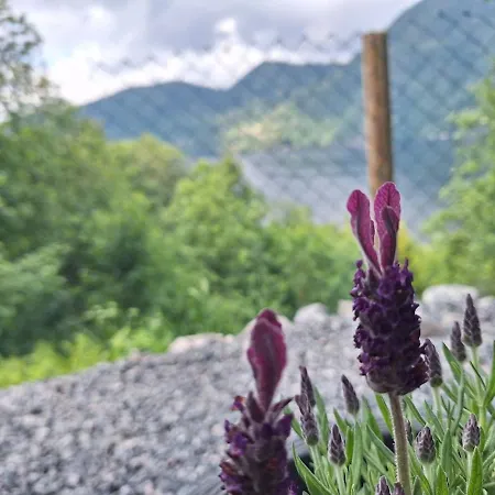 Fjord Nest 아파트 베르겐